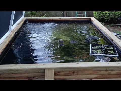 DIY Koi pond barrel filter.