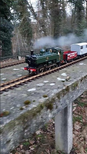 Beautiful Pannier in the park #steamengine #livesteam #train #railroad