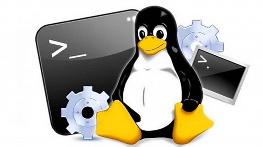 Cómo Crear Directorios y Subdirectorios en Linux con el Comando 'mkdir' (Ejemplo) | Mira Cómo Se Hace