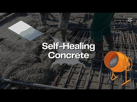 Self-healing concrete | Design Expert INT