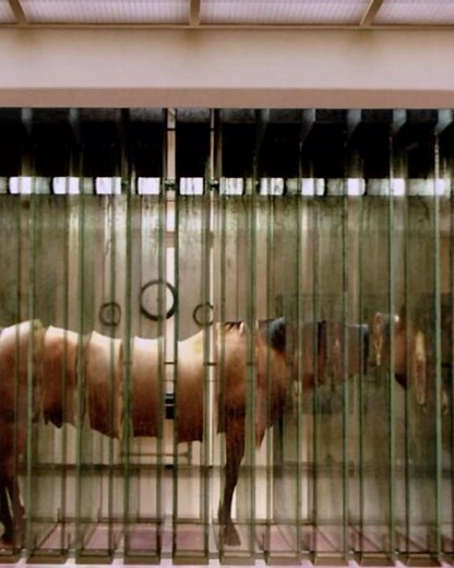 The Cell (2000) Explained: A Journey Into a Killer's Mind 🧠🌀