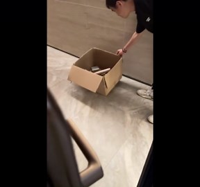 Woman startled as cockroach crawls into room in Guangdong, China