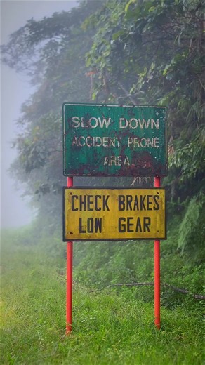 Experience a Foggy Ride on a Mio Scooter