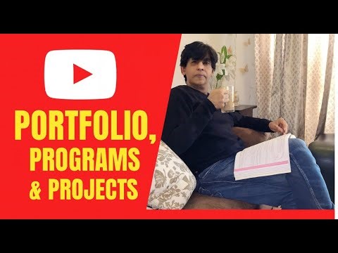 Portfolio vs Program vs Project | Key Differences Explained