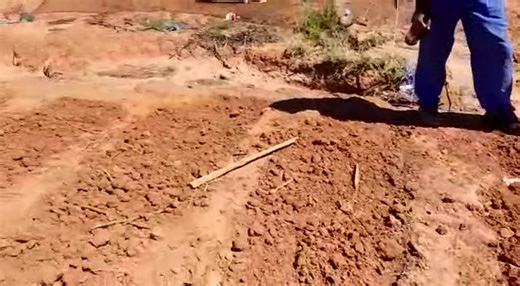 Baobab Irrigation. "Here to make a difference." No matter where you are Baobab Irrigation can supply to you. Botswana, Zambia, Swaziland, Lesotho, Zimbabwe and all over Sa. Gravity drip system. Another happy customer with his first drip system. 2021 Small area no problem we have you covered. Tel 0615098493 015 004 1777 trudi@baobabirri.co.za | Baobab Irrigation Pty Ltd