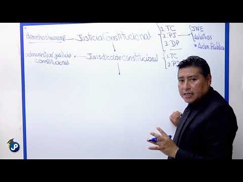 Sesión 1: Introducción al Derecho Procesal Constitucional - Dr. José María Pacori Cari