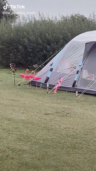 Flamingo Camping Fun: Tips, Hacks, and UK Adventures!