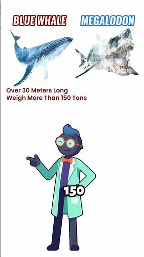 Megalodon vs Blue Whale — Size and Power Comparison