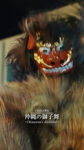 Yoshiki Teruya on Instagram: "🦁沖縄の獅子舞【Okinawan lion dance】-OKINAWA 沖縄の獅子舞は“戦う獅子”。 本土のような縁起物の舞ではなく、 悪霊を祓い、村を守るシーサーの力強い舞。 跳び、走り、時には武術のように戦う―― 迫力満点の伝統芸能です🔥 The movements are dynamic and energetic — jumping, running, and even fighting like martial arts. It’s not just a dance, but a fierce and spiritual performance full of strength and tradition. A truly unique cultural experience you can only see in Okinawa 🔥 #沖縄 #okinawa #okinawatrip #獅子舞"