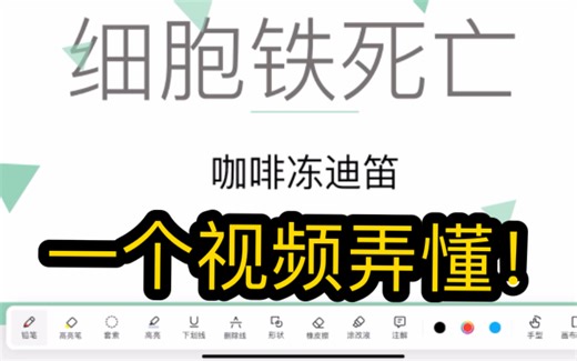 铁死亡是什么？一个视频全弄懂！【医学科研】