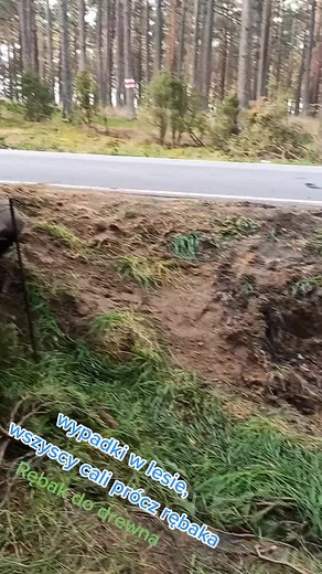 wszyscy cali prócz rębaka #fyp #wypadki #w #lesie #maszyny #ciezkie #praca #las