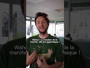 Tout comprendre de l’objectif des 2 tonnes en 2 minutes !