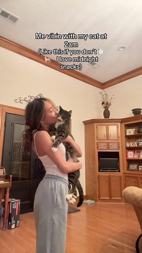 Rachel Andersen on Instagram: "My cat is tired of being in my videos #cats"