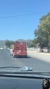 Livin his best life 💯 🇺🇸 🇺🇸 🇺🇸 “COUNTRY STRONG” #cowboy #cowgirl #country #western #rodeo #weareamericancowboy #countrystrong | American Cowboy