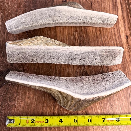 3 Pack XL Quarter Split Elk Antler Dog Chews 8” - Etsy