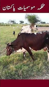 Drought Advisory Amid Aggravating Conditions | PMD Drought Alert | Pakistan Weather Update