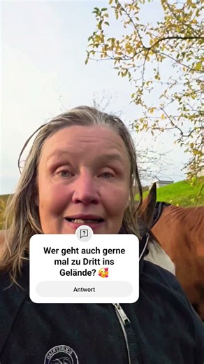 Zu Dritt ins Gelände.Coole Pferde, entspannter Ritt. #angstreiter #gelände #pferde #shorts