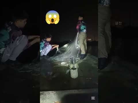 Night Net Fishing, Amazing fishing, YouTube video, Viral video,