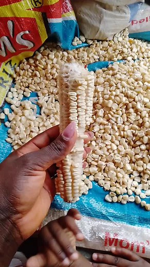 cynthianbognin1 on TikTok