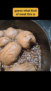 Guess what kind of meat this is . . . . . #wildmeat #hunted #shotdown #meateaters #carnivore | Danny Armstrong