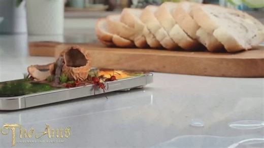 The Ants: Underground Kingdom TV Spot, 'Friends'