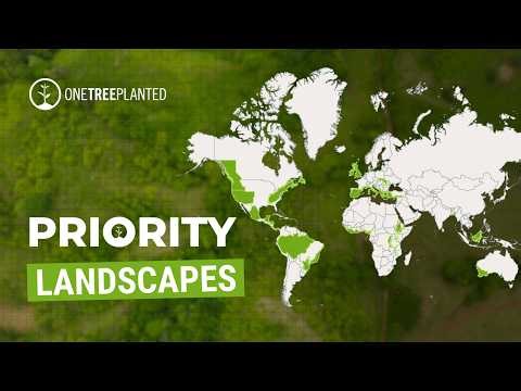 Transforming Global Landscapes | One Tree Planted