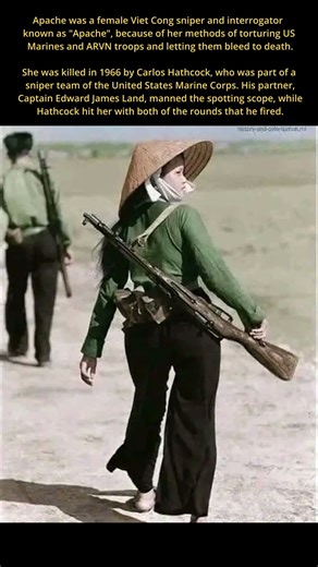 The Sniper Who Became a Legend — And the Marine Who Stopped Her #shorts #history #vietnam