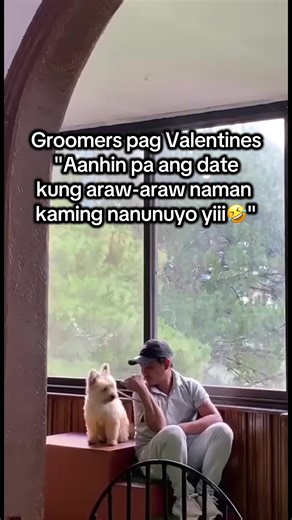 Celebrate Valentine's Day with Affordable Pet Clothes