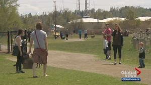 Calgary bylaw officers keep an eye on popular green spaces over May long weekend