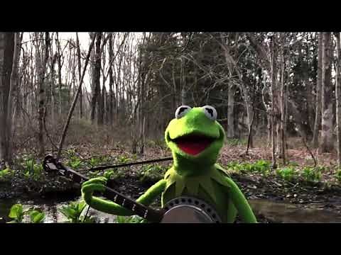 Kermit The Frog Sings Rainbow Connection