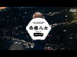 西楼儿女 (抖音DJ版) - 海南小崇『你看天色又在远处落下，寂寞的城道别天边晚霞。』♪ || 抖音最火歌曲音 | 抖音 | TikTok ♪