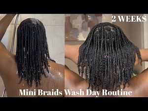 My Mini Braids Natural Hair Wash & Refresh Routine | How To Wash Mini Braids