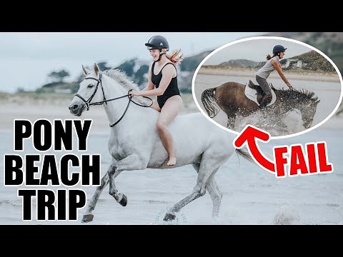 PONIES FIRST TIME AT THE BEACH ~ And behind the scenes of our equestrian photoshoot