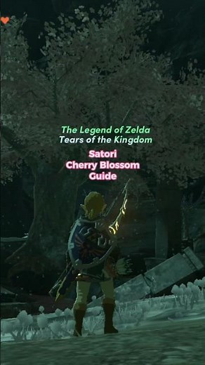 Tears of the Kingdom-Satori Cherry Blossom Guide-Secret Tree-Find Caves Easily! #thelegendofzelda