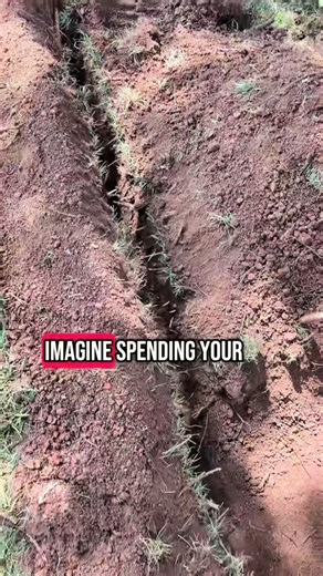 Just saying 🤷🏼‍♂️ #mmlandscapinglawncare #lawntok #lawncare #landscaping #fyp