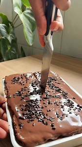 Booloo mousse | Samuel Nolasco