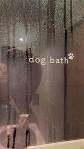 Can you believe this exists? 🐾🇯🇵 A quiet little onsen ♨️ moment that made us stop and smile. Some places really do think about dogs differently. Because even the tiniest travelers earn their rest❤️ dog friendly travel travel with dogs luxury dog travel traveling with a dog dog friendly onsen onsen experience pet friendly japan | Traveling with a Dog
