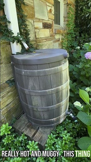 How to collect gallons of water for free 💧 #garden #diy #hacks