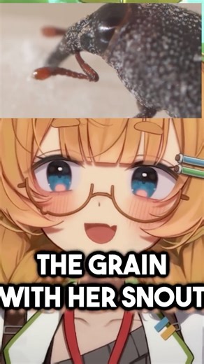 These Creatures Live INSIDE GRAINS of RICE?!