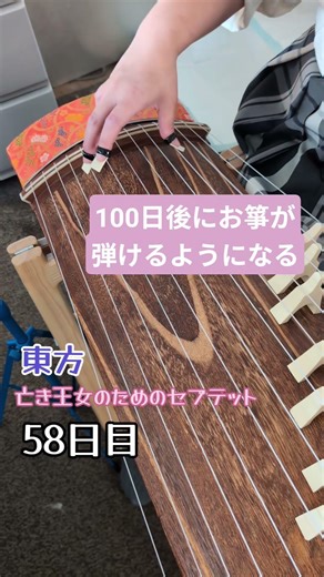 58日目／100日後にお箏が弾けるようになる #koto #弾いてみた #traditional #お箏 #琴 #東方 #亡き王女のためのセプテット