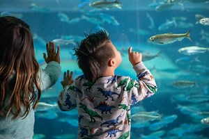 Family Vacation Itinerary | Sightseeing, Tours & Entertainment