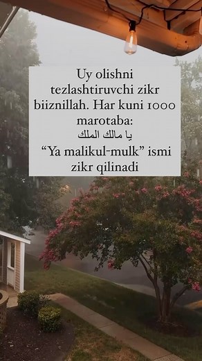 REAL ESTATE BO’YICHA PREMIUM XIZMATLAR | HAMMAGA UY OLISH NASIB QILSIN🤲 . . . #reels #reelsinstagram #reelinstagram #top #home #house #new #coment #repost #newpost #instagood... | Instagram