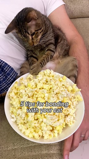 Cat Tigrous on TikTok