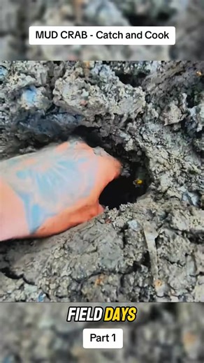 Mud Crab - Catch and Cook #crab #catchandcook #Outdoors #survival #camping #fielddays #fyp | Field Days | Facebook