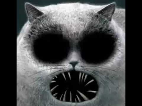 (The Marvelous Misadventures of Flapjack 2008) Disturbing Cat Moan 🐱 🔊