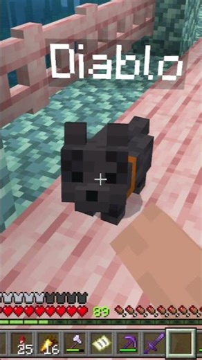 Diablo 😈 #minecraft #fyp