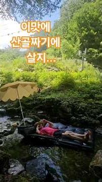 이 맛에 산골짜기에서 살아요😹#산속에서놀기 #산골여자#행복해 #산냥이랑#생계형4도3촌