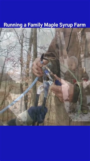 Running a Maple Syrup Family Farm #spotlightstl #stlouis