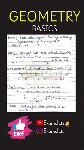GEOMETRY BASICS | EXAMCHITS