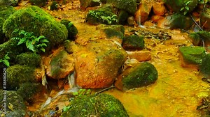 Mineral water comes out of the plastic pipe .Cascades in rapid stream of mineral water. Red ferric sediments on big boulders between green ferns. Red plastic tube